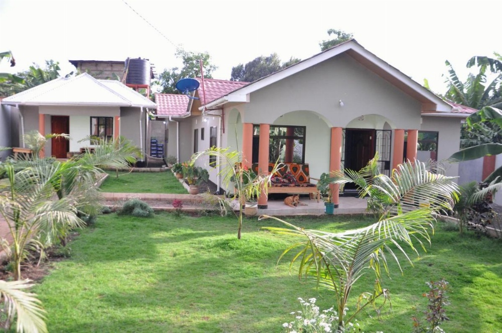 Blue Elephant Hostel