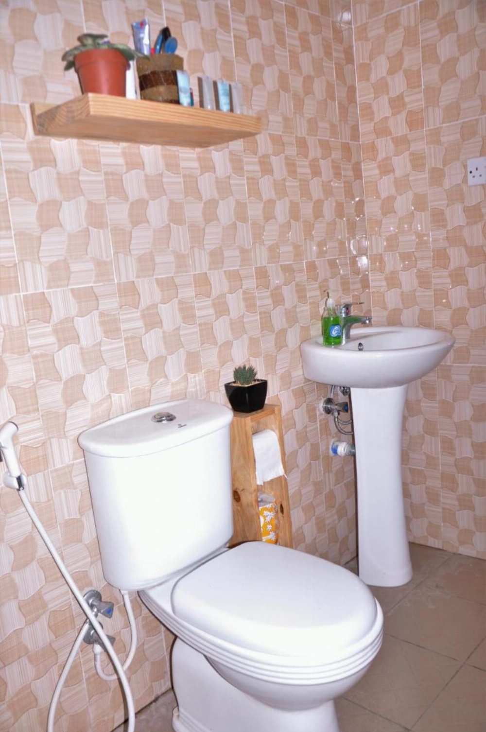 Blue Elephant Hostel