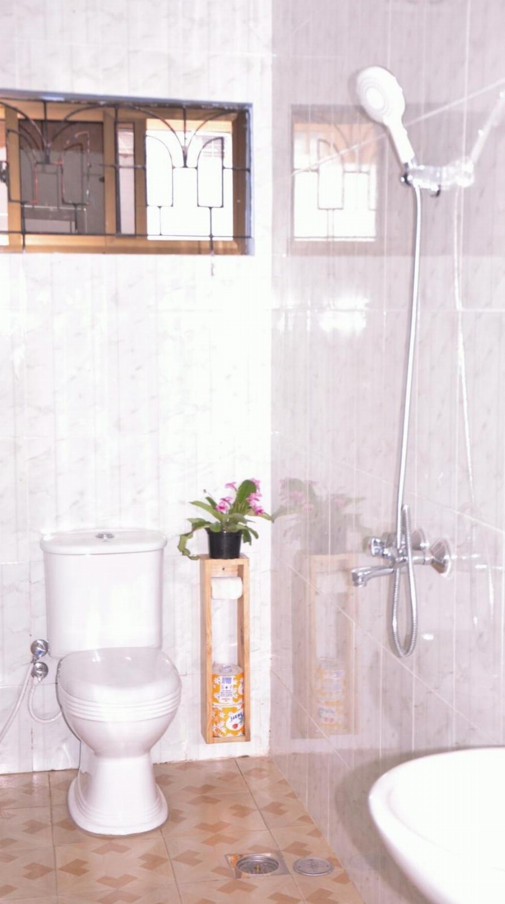 Blue Elephant Hostel Main image